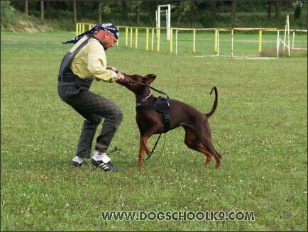 Training camp - Lukova 2007